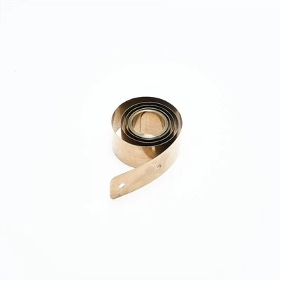 Spring Rotor